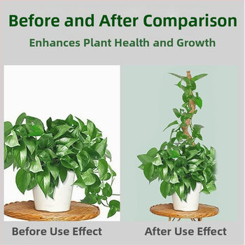 Τριμελής στήριξη για αναρριχητικά φυτά με στήλη και πλαίσιο από ίνες καρύδας για pothos και κλήματα