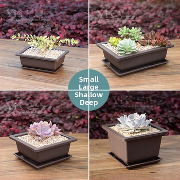 Κηπουρική γλάστρα για σουκλέντες, ορθογώνια ρηχή από ρητίνη, σετ δίσκου μεταφύτευσης και κάτω δίσκος για οικιακή χρήση