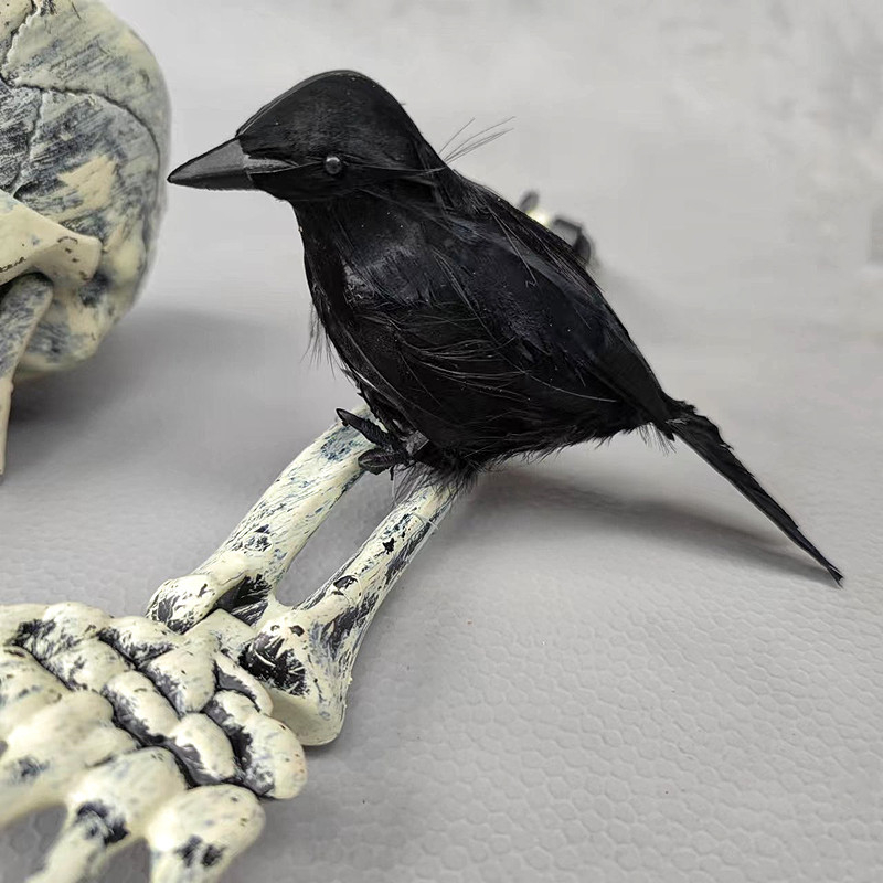 Halloween horor rekvizit: realistična ruka i podlaktica za uklete kuće, set lobanja za barove i KTV