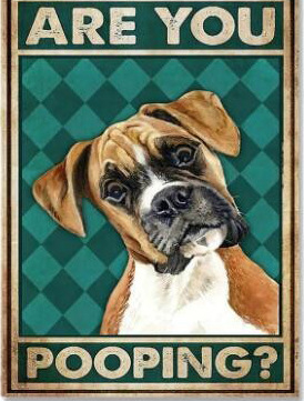 Декоративна канва картина – монтаж без рамка, основа: платно, процес: спрей боядисване, модел 21783149289, пространства: хол, спалня, баня