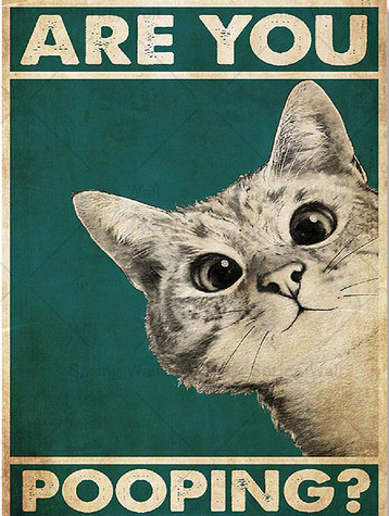 Декоративна канва картина – монтаж без рамка, основа: платно, процес: спрей боядисване, модел 21783149289, пространства: хол, спалня, баня