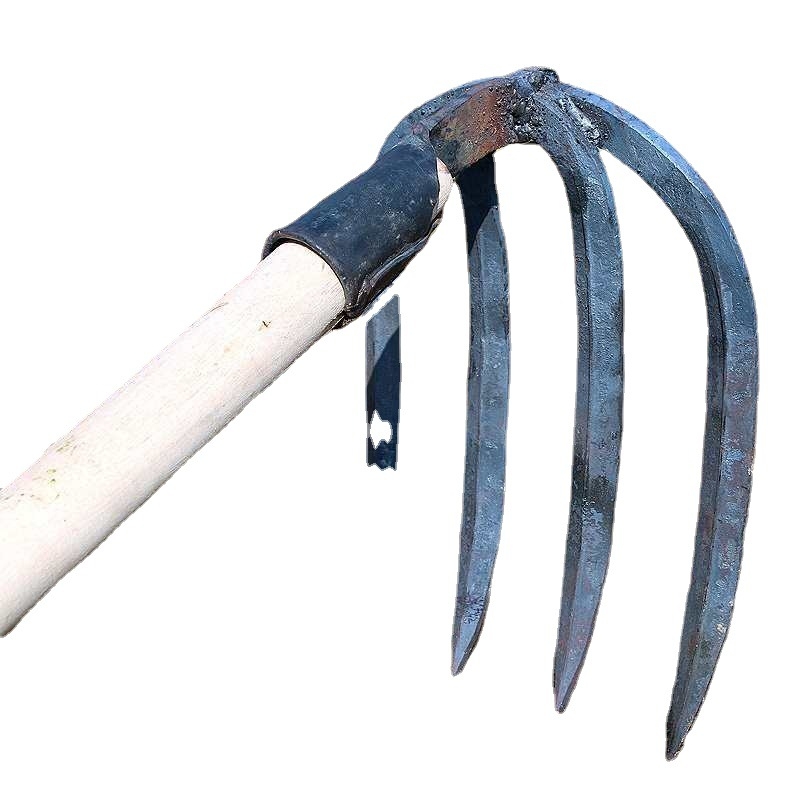 Keturių dantų kaltas plieninis grėblys daržo žemei laisvinti ir daržininkystei