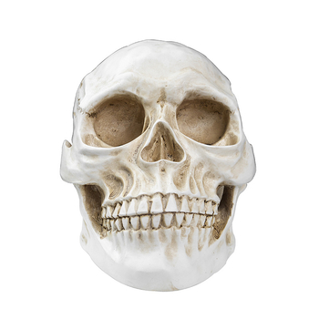 Κρανίο για Χάλοουϊν, διακοσμητικό από ρητίνη για γλάστρα, μοντέρνο στυλ τέχνης, κωδικός 21347836905