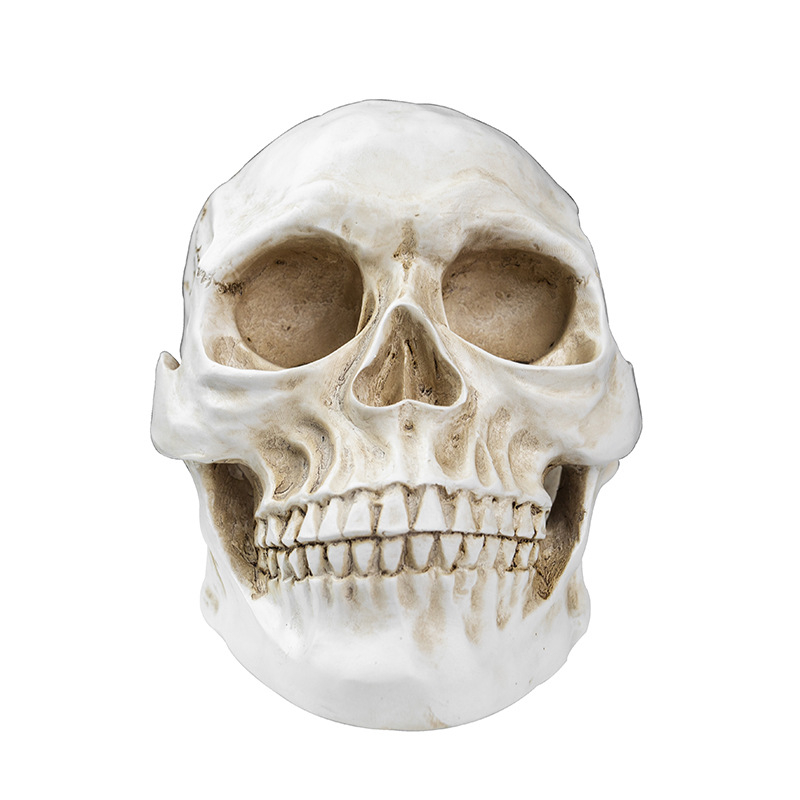 Κρανίο για Χάλοουϊν, διακοσμητικό από ρητίνη για γλάστρα, μοντέρνο στυλ τέχνης, κωδικός 21347836905