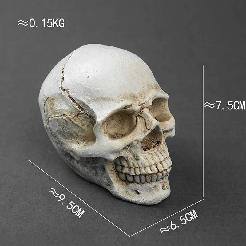 Κρανίο για Χάλοουϊν, διακοσμητικό από ρητίνη για γλάστρα, μοντέρνο στυλ τέχνης, κωδικός 21347836905