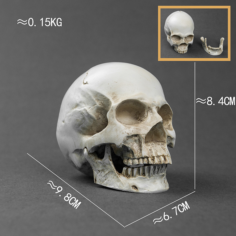 Κρανίο για Χάλοουϊν, διακοσμητικό από ρητίνη για γλάστρα, μοντέρνο στυλ τέχνης, κωδικός 21347836905