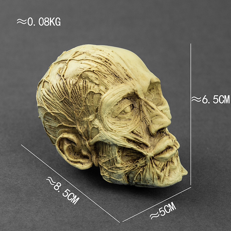 Κρανίο για Χάλοουϊν, διακοσμητικό από ρητίνη για γλάστρα, μοντέρνο στυλ τέχνης, κωδικός 21347836905