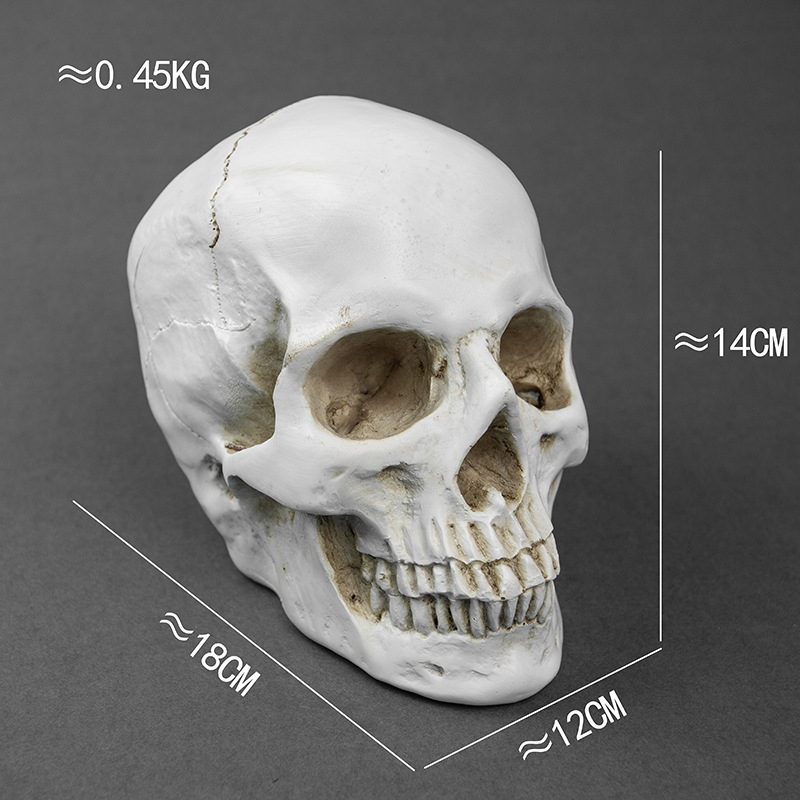 Κρανίο για Χάλοουϊν, διακοσμητικό από ρητίνη για γλάστρα, μοντέρνο στυλ τέχνης, κωδικός 21347836905