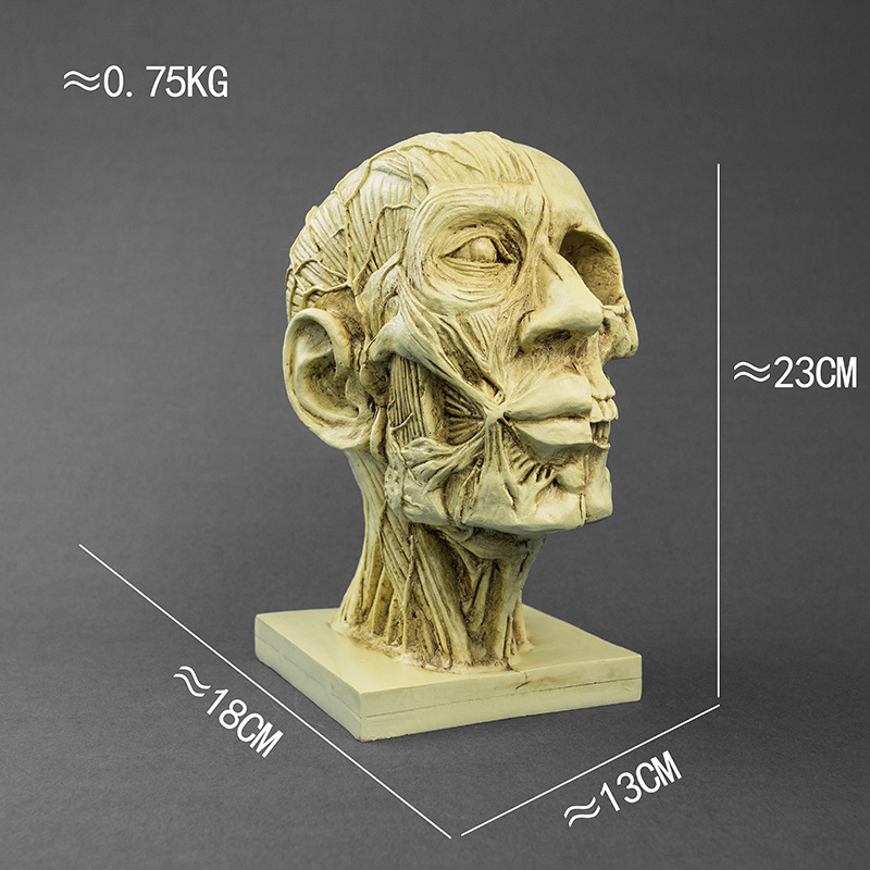 Κρανίο για Χάλοουϊν, διακοσμητικό από ρητίνη για γλάστρα, μοντέρνο στυλ τέχνης, κωδικός 21347836905