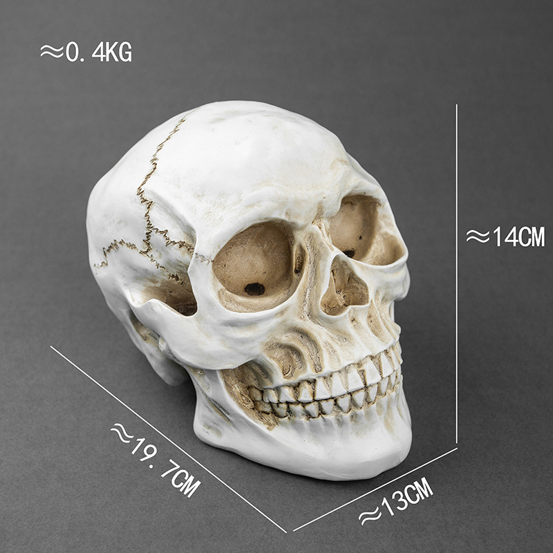 Κρανίο για Χάλοουϊν, διακοσμητικό από ρητίνη για γλάστρα, μοντέρνο στυλ τέχνης, κωδικός 21347836905