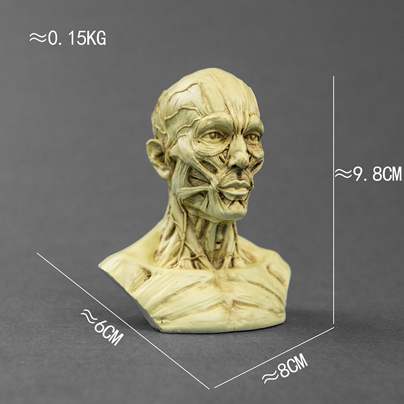 Κρανίο για Χάλοουϊν, διακοσμητικό από ρητίνη για γλάστρα, μοντέρνο στυλ τέχνης, κωδικός 21347836905