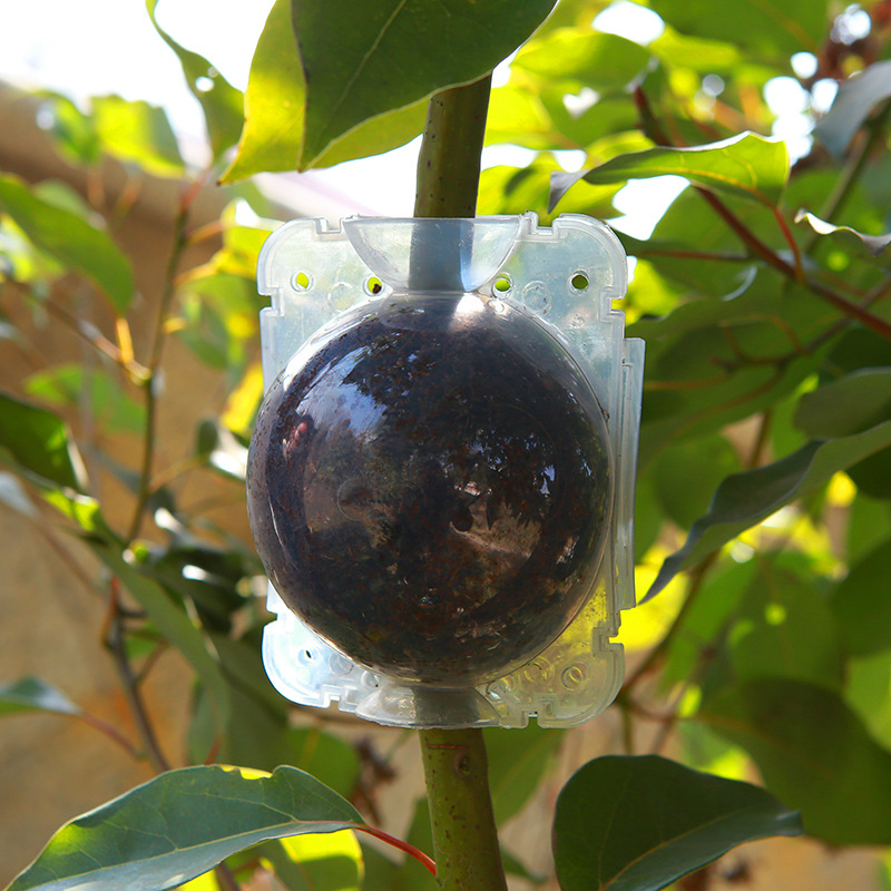 Mo Si Hui Magasnyomású oltódoboz oltáshoz — PP műanyag