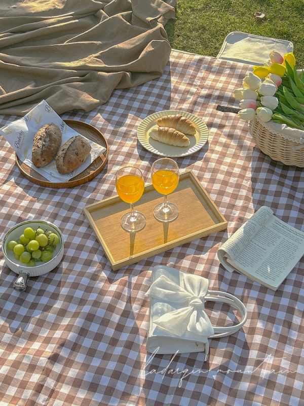 PVC piknika paklājs, Oxford audums, ūdensizturīgs, ārējai lietošanai, pārnēsājams