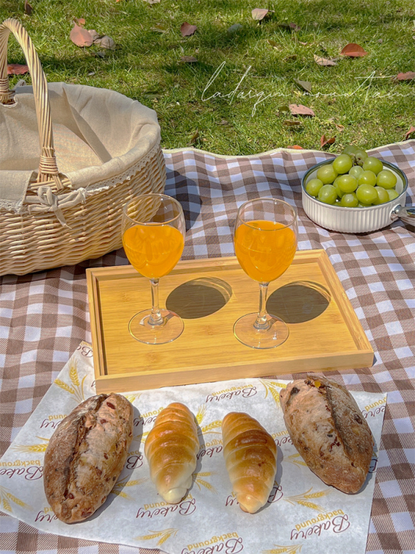 PVC piknika paklājs, Oxford audums, ūdensizturīgs, ārējai lietošanai, pārnēsājams