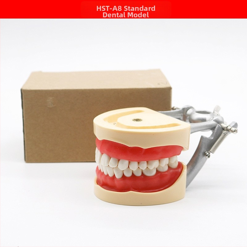 Μοντέλο διδασκαλίας οδοντιατρικής με παθολογική αποκατάσταση και τυπικό καλούπι εμφυτευμάτων — εγχώριο εμπορικό σήμα, με εκτυπωμένο λογότυπο, κατάλληλο για την οδοντιατρική εκπαίδευση