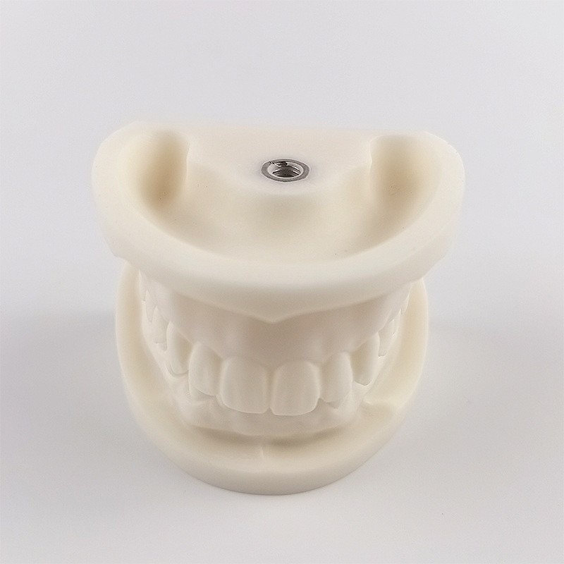 Μοντέλο διδασκαλίας οδοντιατρικής με παθολογική αποκατάσταση και τυπικό καλούπι εμφυτευμάτων — εγχώριο εμπορικό σήμα, με εκτυπωμένο λογότυπο, κατάλληλο για την οδοντιατρική εκπαίδευση