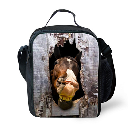 Hőszigetelt ebédtáska, poliészter, modell G, 2018-as kiadás.