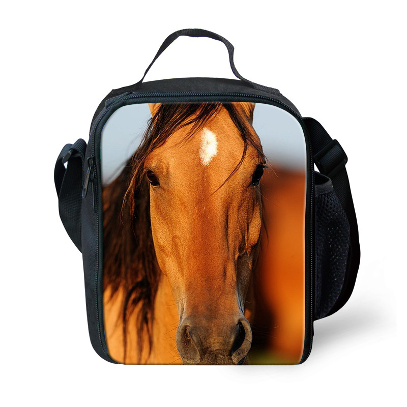 Hőszigetelt ebédtáska, poliészter, modell G, 2018-as kiadás.