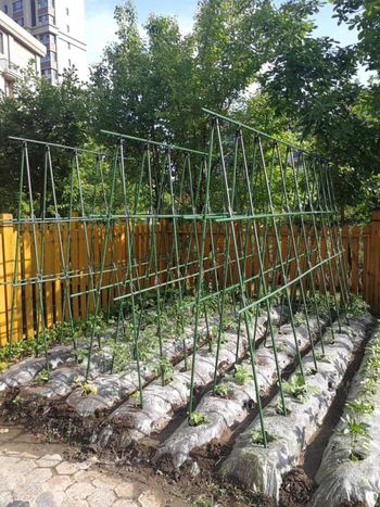 Ράβδος στήριξης φυτών για αναρριχητικά φυτά, ανεξάρτητη βάση, οικιακή κηπουρική, μοντέρνος μινιμαλισμός