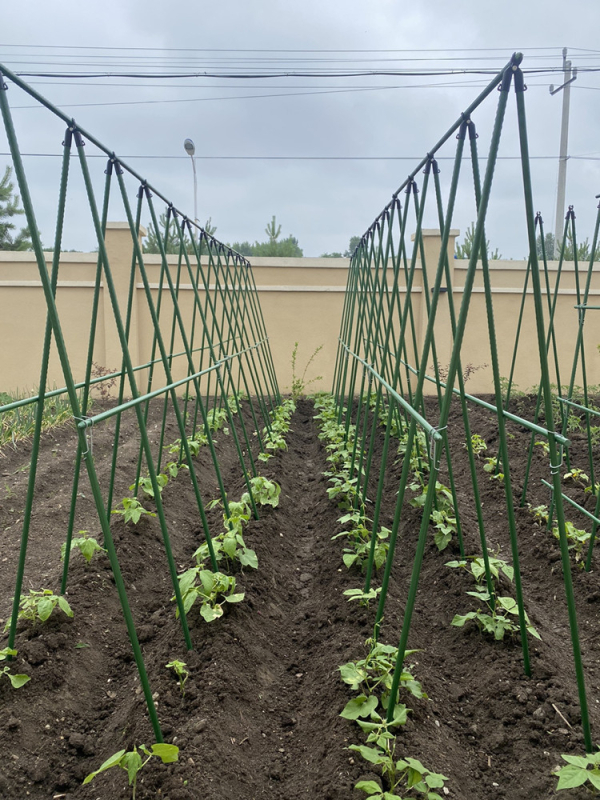 Опора за катерещи растения, свободностояща, домашно градинарство, модерен минимализъм