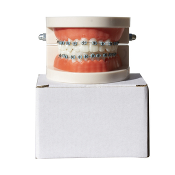 Ortodontikus fém bracket modell bemutatóhoz, felnőtteknek, 140 g, dobozban 100 darab, helyi márka