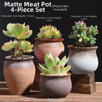 Keraminė sukulentų vaza, kvėpuojanti, stovinti ant grindų, modernus minimalistinis stilius