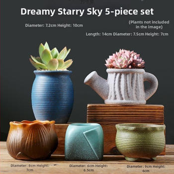 Keraminė sukulentų vaza, kvėpuojanti, stovinti ant grindų, modernus minimalistinis stilius