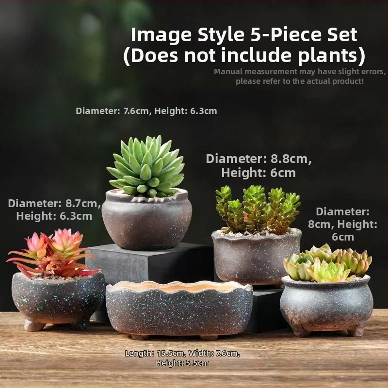 Keraminė sukulentų vaza, kvėpuojanti, stovinti ant grindų, modernus minimalistinis stilius