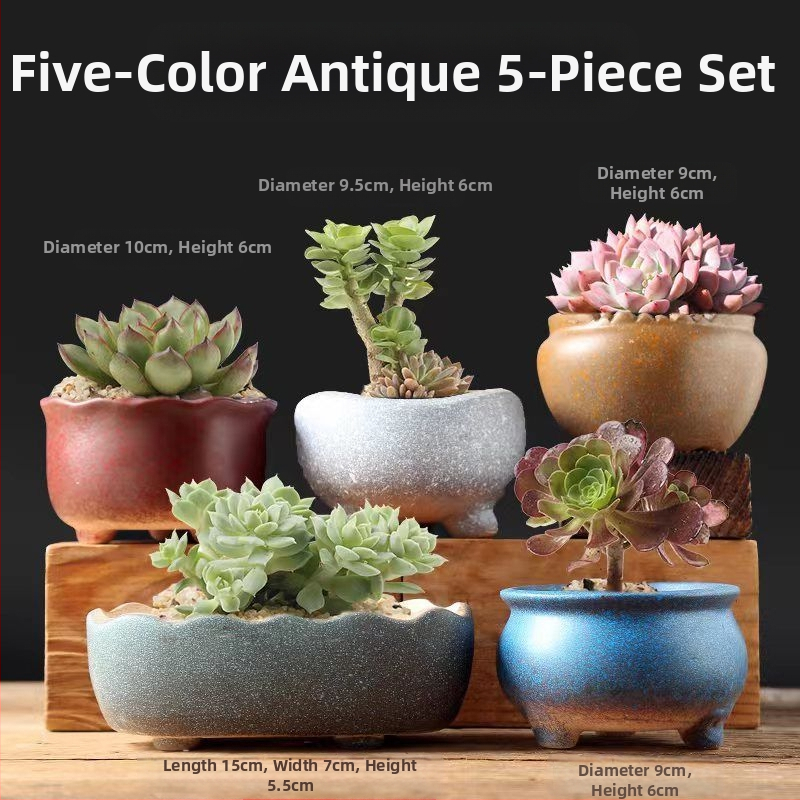 Keraminė sukulentų vaza, kvėpuojanti, stovinti ant grindų, modernus minimalistinis stilius