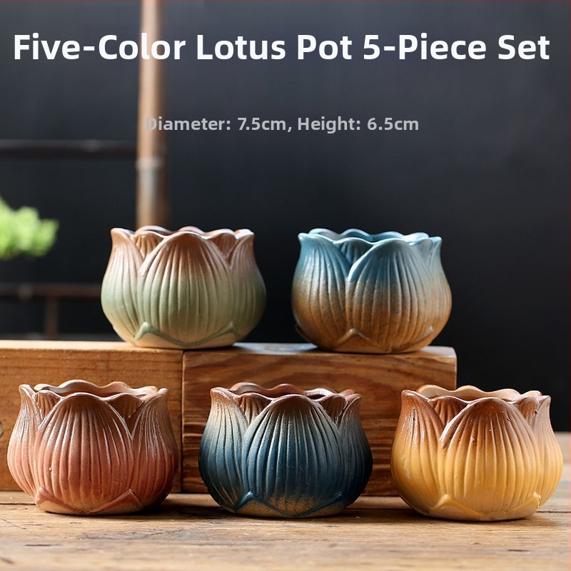 Keraminė sukulentų vaza, kvėpuojanti, stovinti ant grindų, modernus minimalistinis stilius