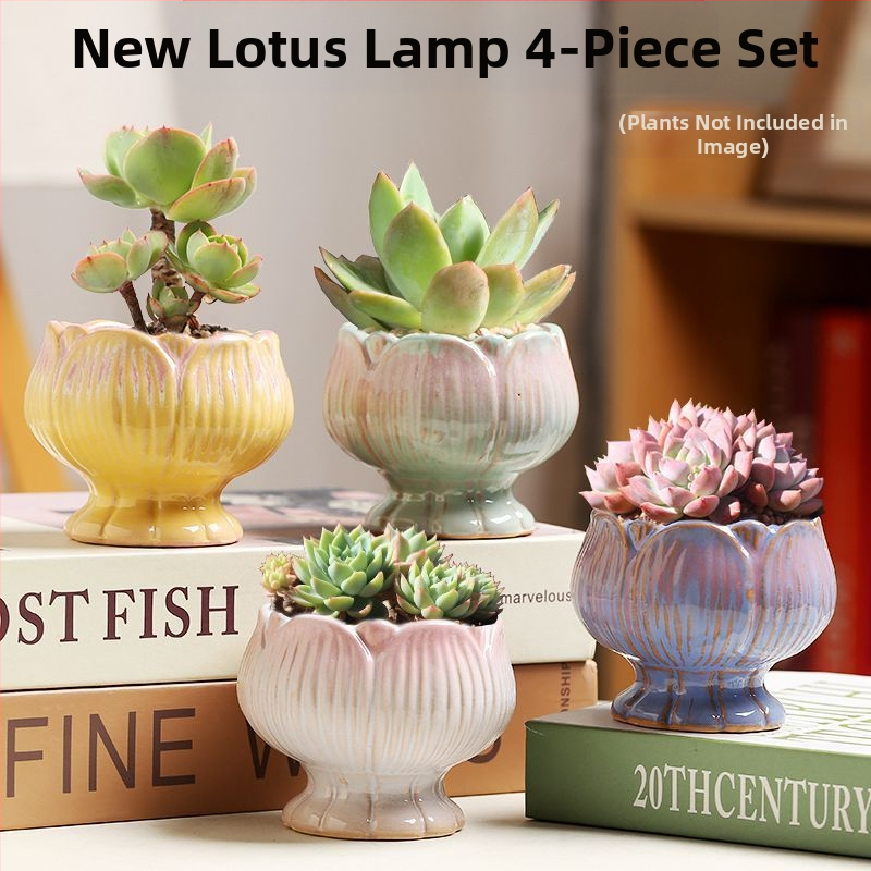 Keraminė sukulentų vaza, kvėpuojanti, stovinti ant grindų, modernus minimalistinis stilius