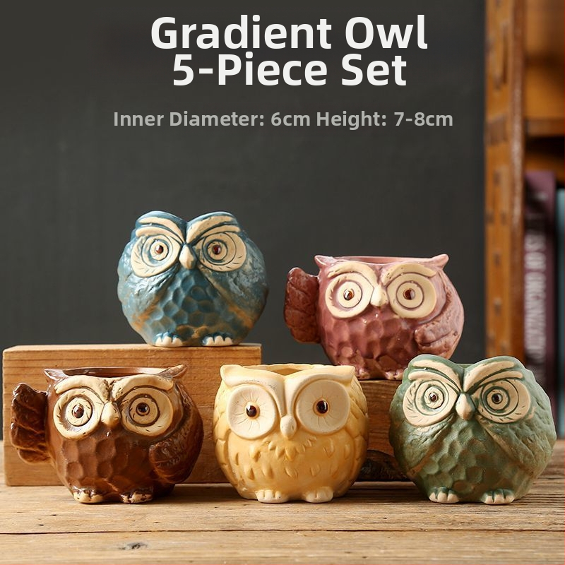 Keraminė sukulentų vaza, kvėpuojanti, stovinti ant grindų, modernus minimalistinis stilius