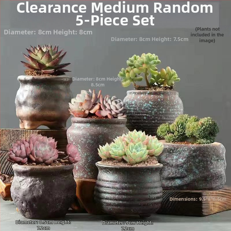 Keraminė sukulentų vaza, kvėpuojanti, stovinti ant grindų, modernus minimalistinis stilius