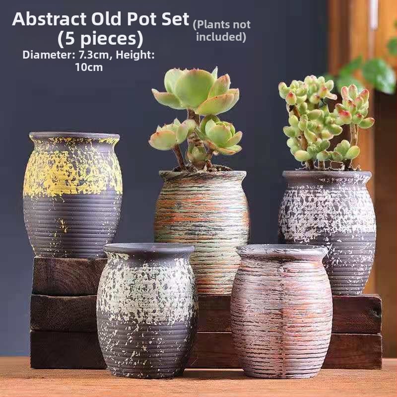 Keraminė sukulentų vaza, kvėpuojanti, stovinti ant grindų, modernus minimalistinis stilius