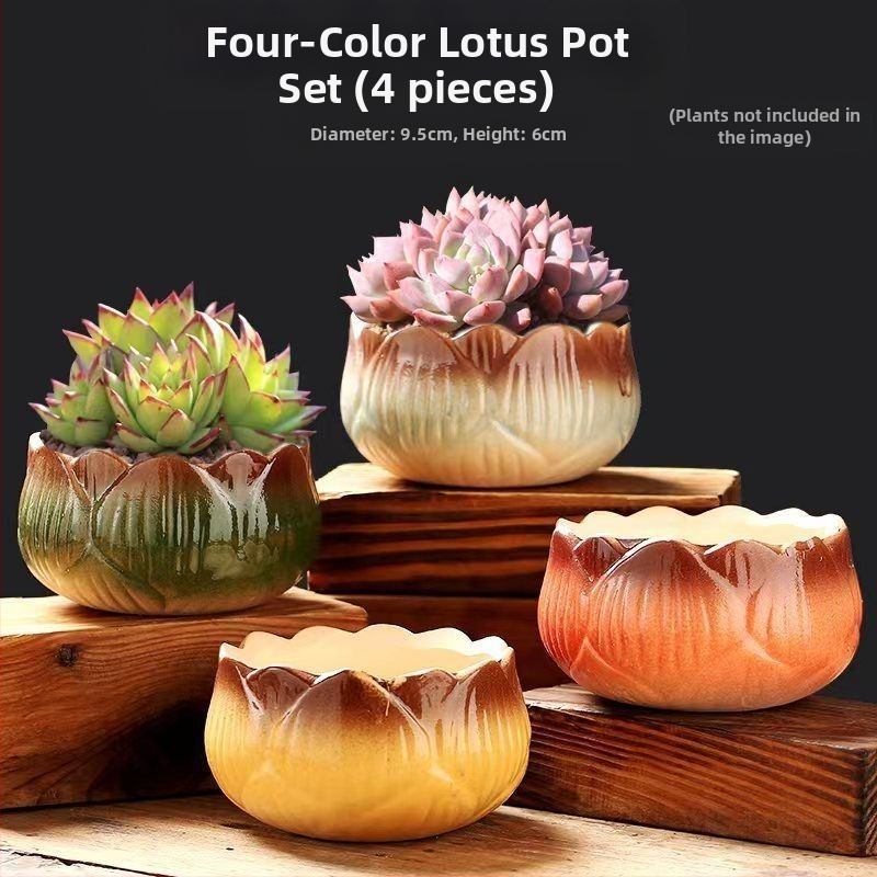 Keraminė sukulentų vaza, kvėpuojanti, stovinti ant grindų, modernus minimalistinis stilius