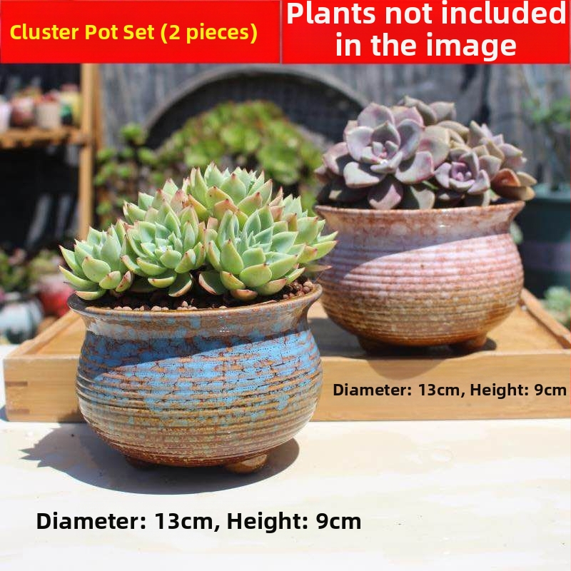 Keraminė sukulentų vaza, kvėpuojanti, stovinti ant grindų, modernus minimalistinis stilius