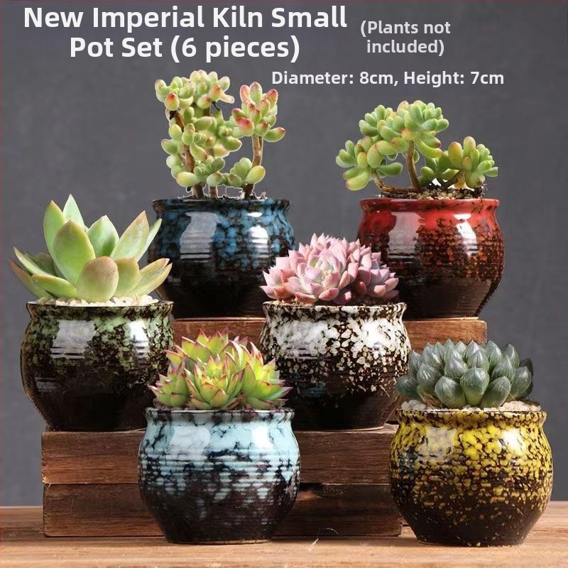 Keraminė sukulentų vaza, kvėpuojanti, stovinti ant grindų, modernus minimalistinis stilius