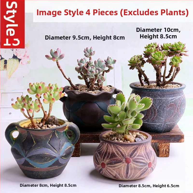 Keraminė sukulentų vaza, kvėpuojanti, stovinti ant grindų, modernus minimalistinis stilius