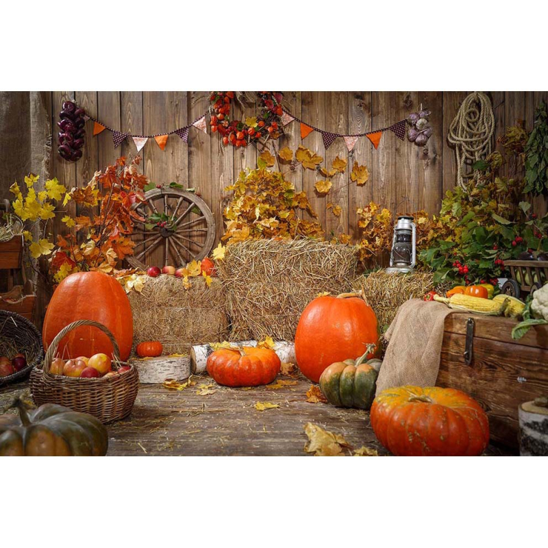 Фонов гоблен за fotografия – Хелоуин, детско парти, 100% полиестер, машинно тъкане, стил: анимационен