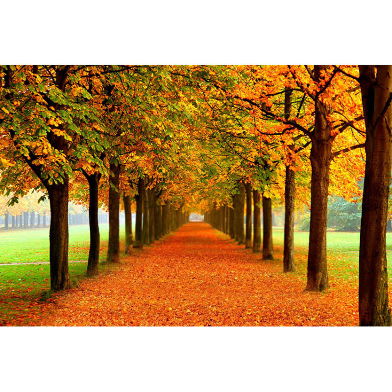 Фонов гоблен за fotografия – Хелоуин, детско парти, 100% полиестер, машинно тъкане, стил: анимационен