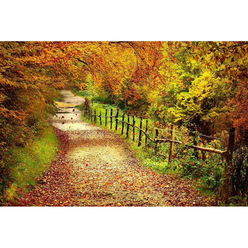 Фонов гоблен за fotografия – Хелоуин, детско парти, 100% полиестер, машинно тъкане, стил: анимационен