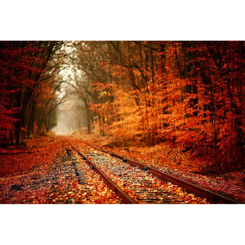 Фонов гоблен за fotografия – Хелоуин, детско парти, 100% полиестер, машинно тъкане, стил: анимационен