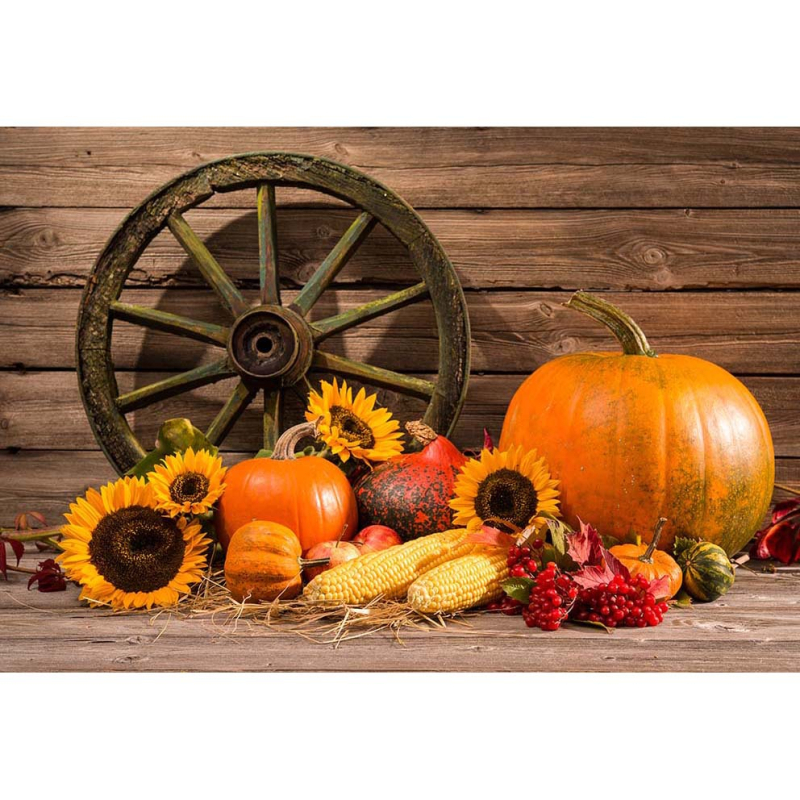 Фонов гоблен за fotografия – Хелоуин, детско парти, 100% полиестер, машинно тъкане, стил: анимационен