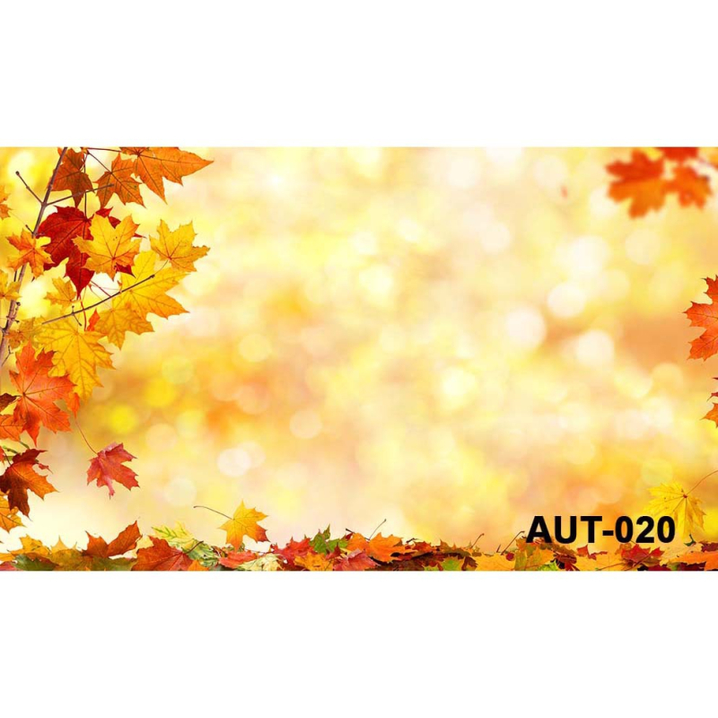 Фонов гоблен за fotografия – Хелоуин, детско парти, 100% полиестер, машинно тъкане, стил: анимационен