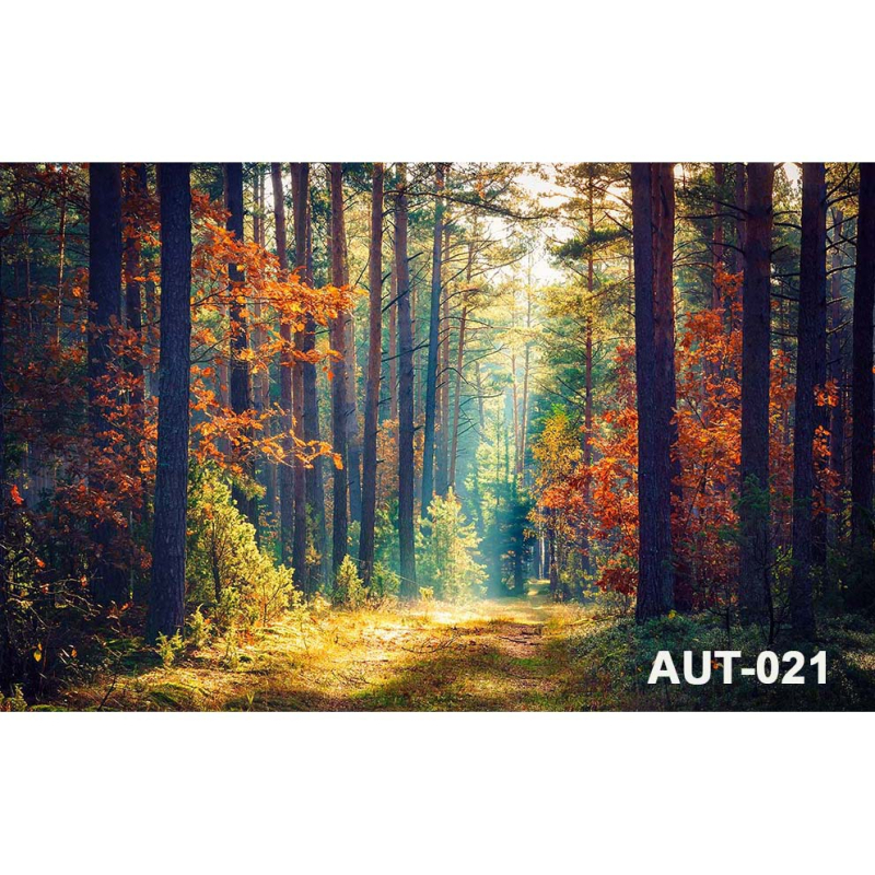 Фонов гоблен за fotografия – Хелоуин, детско парти, 100% полиестер, машинно тъкане, стил: анимационен