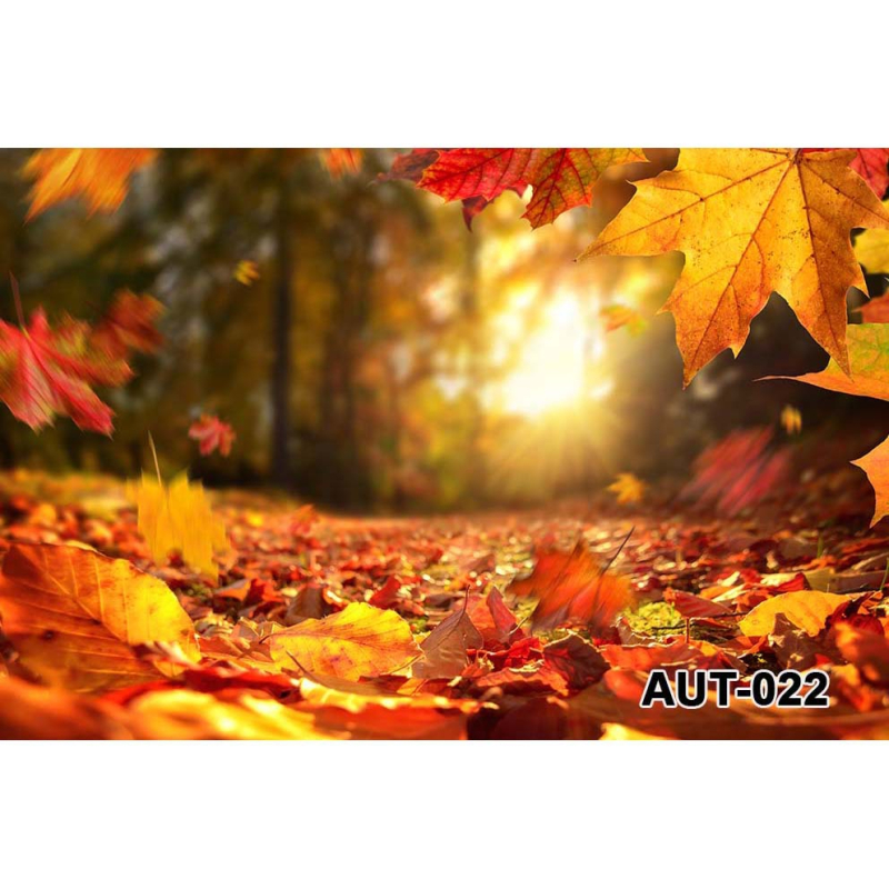 Фонов гоблен за fotografия – Хелоуин, детско парти, 100% полиестер, машинно тъкане, стил: анимационен