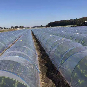 Τοξωτή ράγα για καλλιέργεια λαχανικών σε μπαλκόνι, θερμοκήπιο με πλαστικό φιλμ, καθολικό μοντέλο, κυκλοφόρησε το 2024