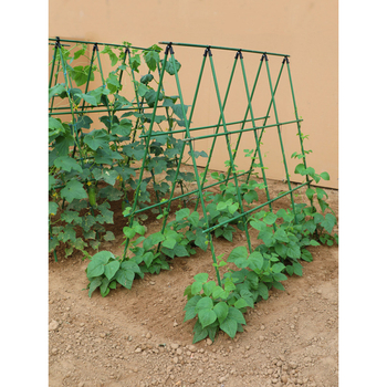 Αυτόνομη στήριξη λαχανικών με πλαστικά επικαλυμμένο ατσάλι — κάθετη στήριξη για αγγούρια και φασόλια, μοντέρνος μινιμαλισμός