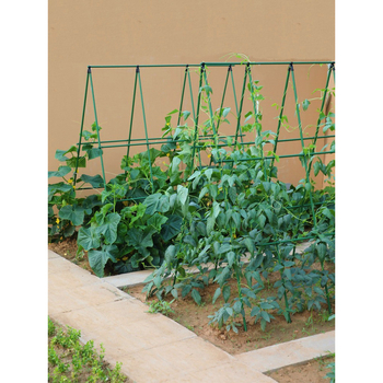 Αυτόνομη στήριξη λαχανικών με πλαστικά επικαλυμμένο ατσάλι — κάθετη στήριξη για αγγούρια και φασόλια, μοντέρνος μινιμαλισμός