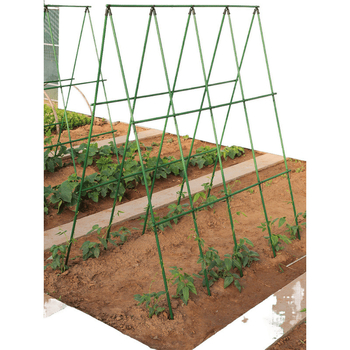 Αυτόνομη στήριξη λαχανικών με πλαστικά επικαλυμμένο ατσάλι — κάθετη στήριξη για αγγούρια και φασόλια, μοντέρνος μινιμαλισμός